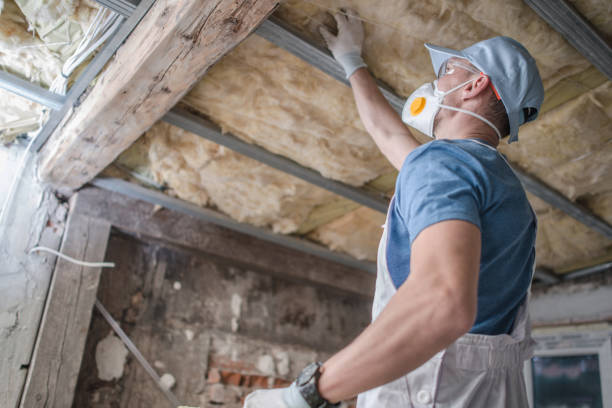 Best Insulation Materials and Products in Deerfield, MI