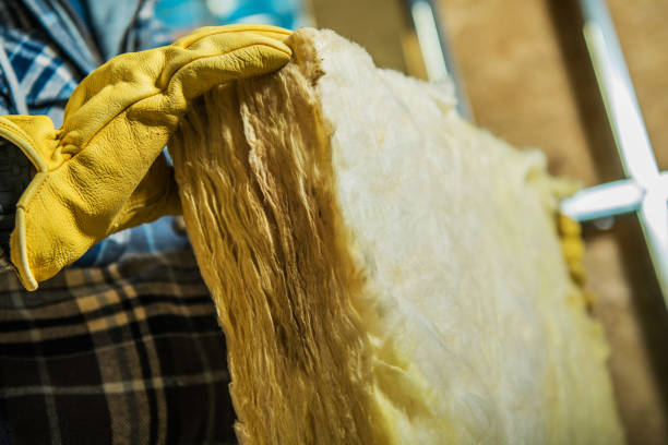 Best Residential Insulation in Deerfield, MI